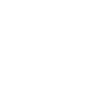 social icons